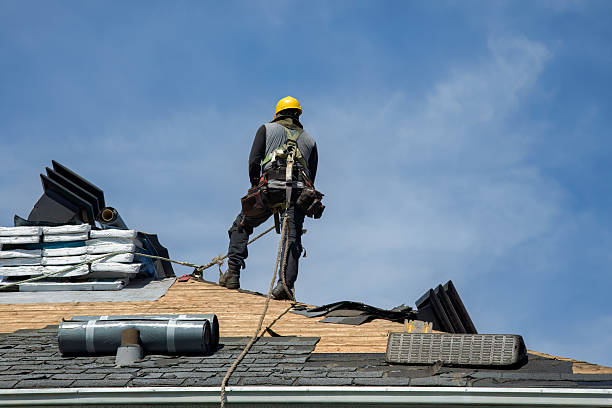 Professional Roof Repair technician working in Dover, MN